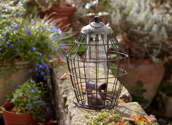 Secret Garden Squirrel Proof Seed Feeder