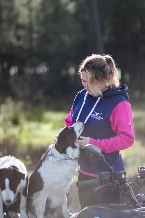 Longhorn Longtail Hoodie Hampshire