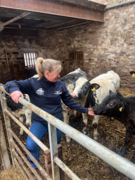 Longhorn 1/4 Zip Sweatshirt No Farmers