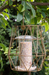 Gardman Aura Small Bird Feeder