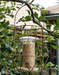 Gardman Aura Small Bird Feeder