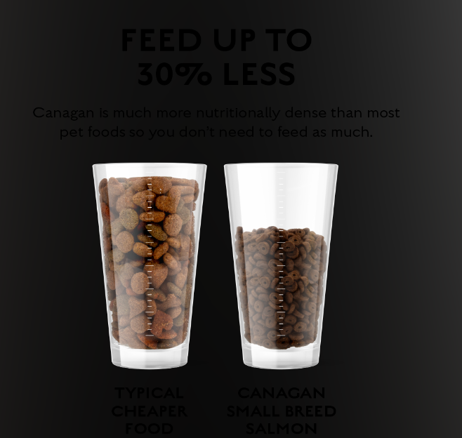 Canagan Small Breed 2kg Salmon