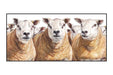 Kate Simpson Shear Texellance Card