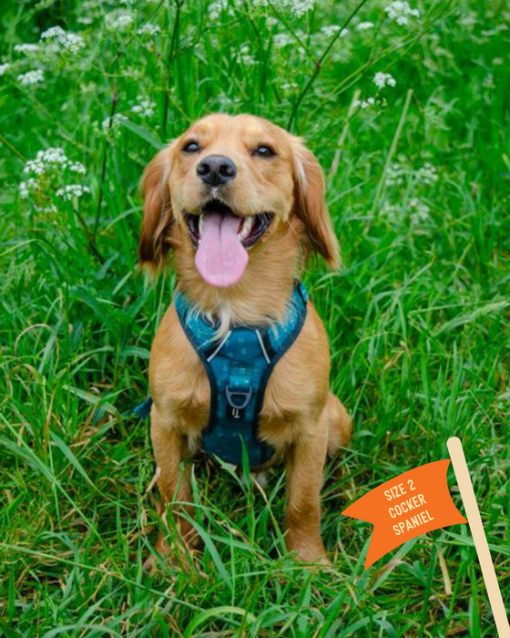 Twiggy Tags Adventure Harness Size Tranquil