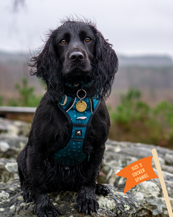 Twiggy Tags Adventure Harness Size Tranquil