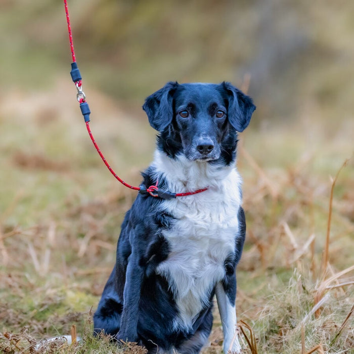 Sporting Saint PRO Swivel Slip Lead 1.2m