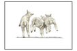 Kate Simpson Spring Card