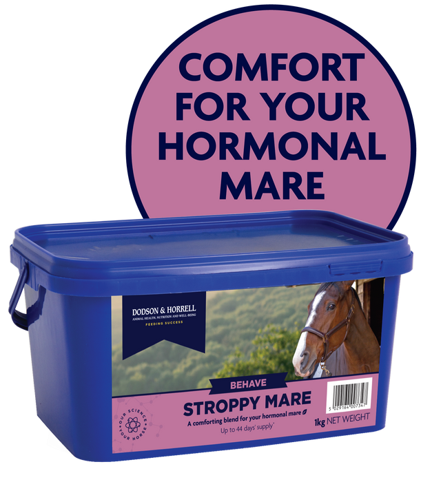 Dodson & Horrell Stroppy Mare 1kg Tub