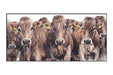 Kate Simpson Swiss The Girls Card
