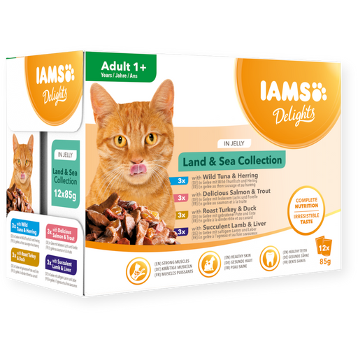 Iams Delights Adult Land & Sea Collection in Jelly 8x85g