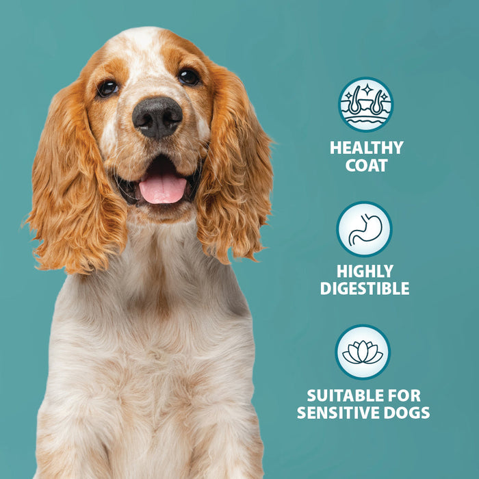 Burns Grain Free Turkey & Potato