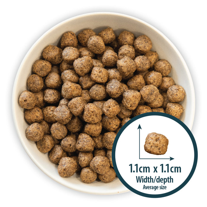 Burns Grain Free Duck & Potato 12kg