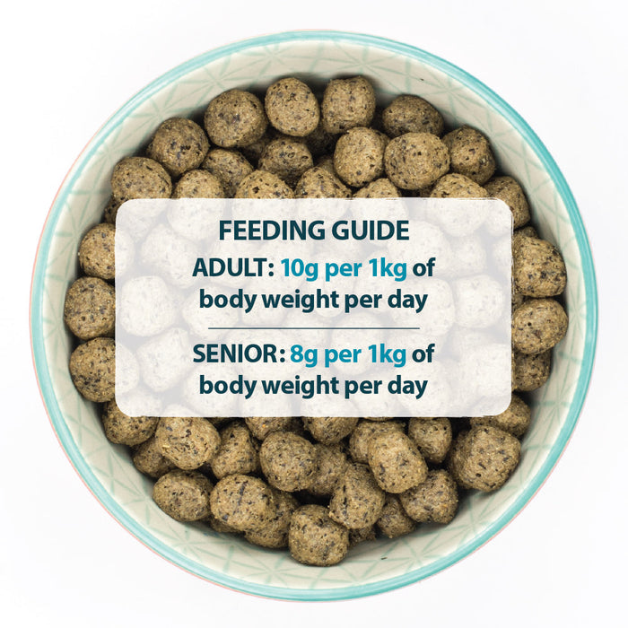 Burns Grain Free Turkey & Potato