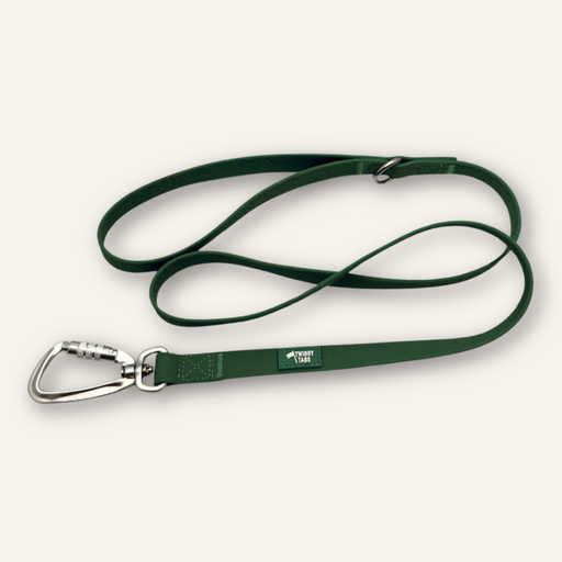 Twiggy Tags Tidal Waterproof Lead Fern
