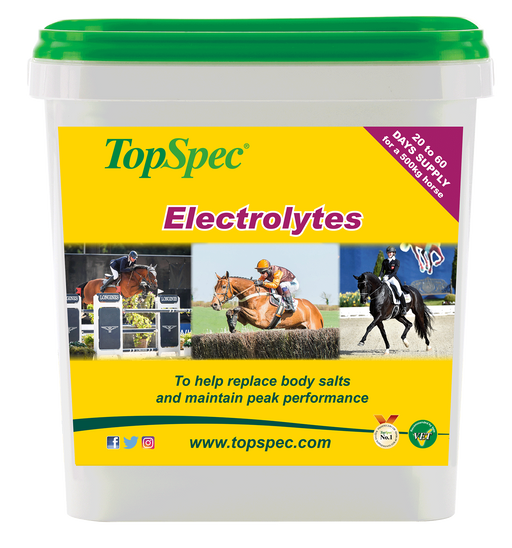 TopSpec Electrolytes 3kg