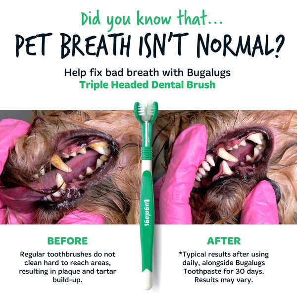 Triple Headed Toothbrush Single