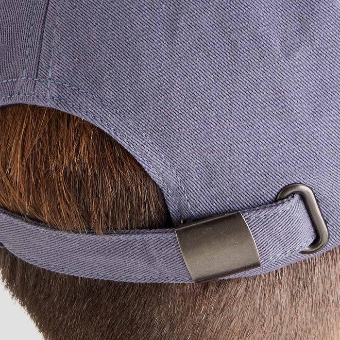 Ridgeline Signature Cap Storm