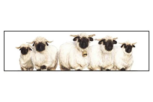 Kate Simpson Valais Girls Card