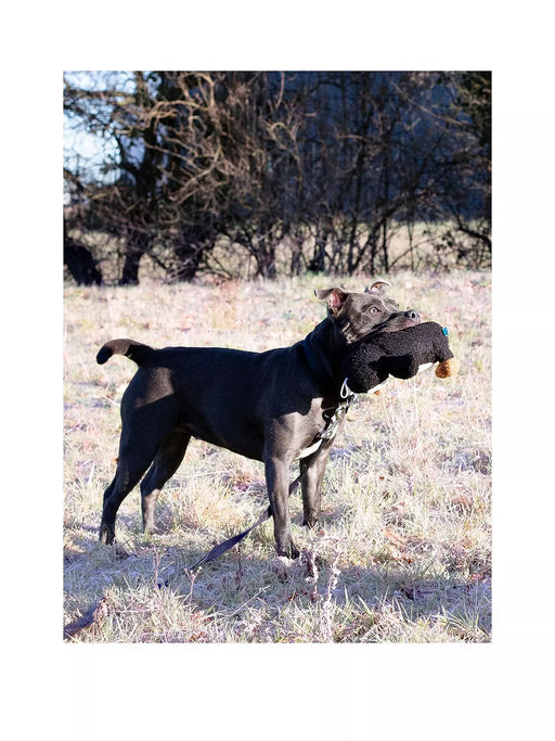 Rosewood Christmas Tufflove Penguin Dog Toy