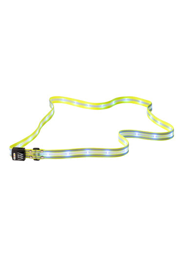 WoofWear LED Sash
