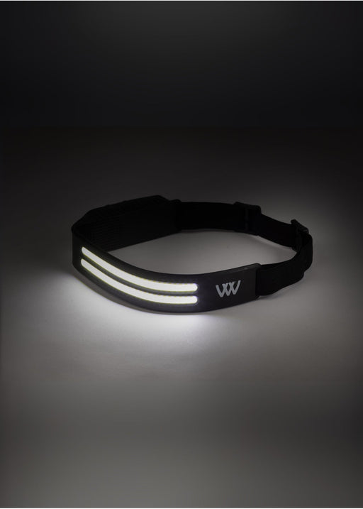 WoofWear Head Torch
