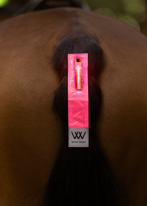 WoofWear Hi Viz LED Tail Light