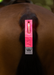 WoofWear Hi Viz LED Tail Light