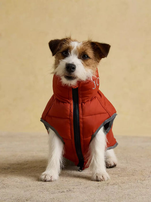 Joules MoorsDale Puffer Coat Ketchup