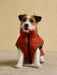 Joules MoorsDale Puffer Coat Ketchup