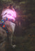 Twiggy Tags TrekBright Dog Safety Light
