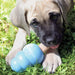 KONG Ziggies Enhanced Puppy 198g