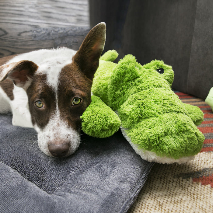 KONG Cozies Ali Alligator X-Large