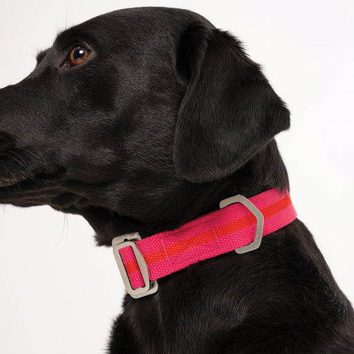 All-Terrain Collar Fuschia