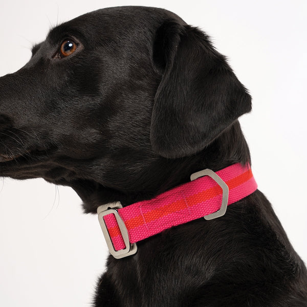 All-Terrain Collar Fuschia