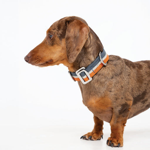 All-Terrain Collar Navy & Amber