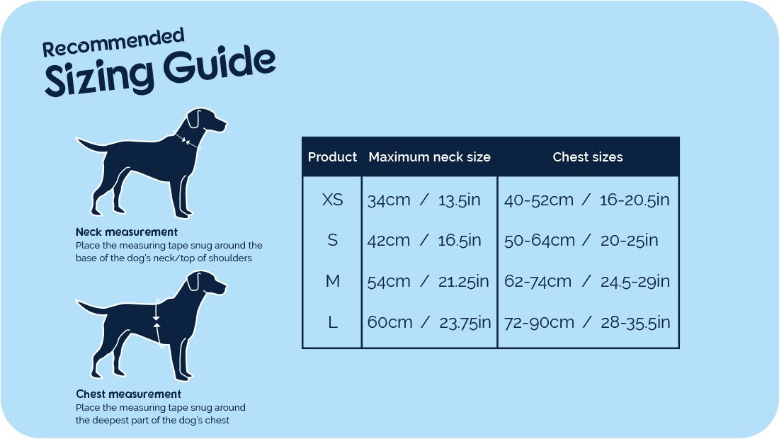 Carsafe Dog Harness Black