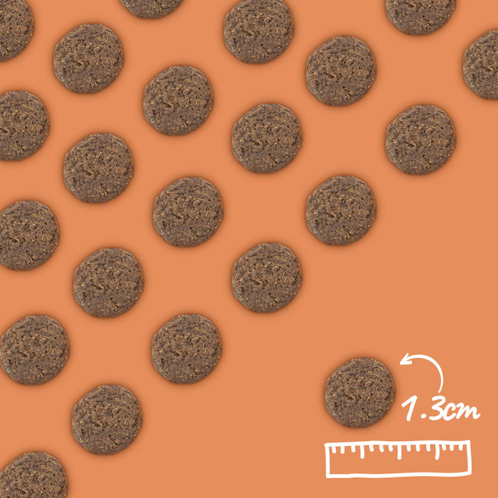 Arden Grange Vetcare Canine Gastrointestinal 2kg