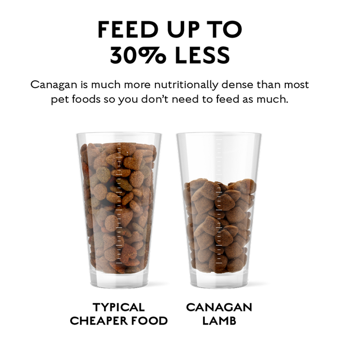 Canagan Grass Fed Lamb For Dogs 2kg