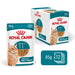 Royal Canin Ageing Cat +11 Gravy 12x85g
