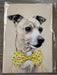 Deckled Edge Dapper Dog Card