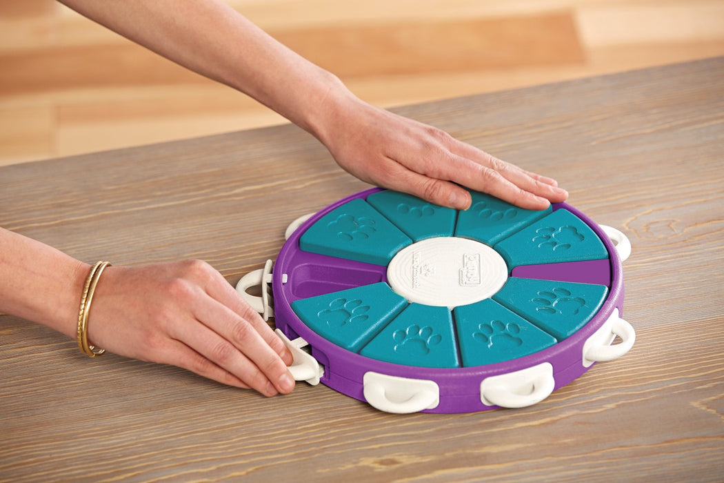 Outward Hound Interactive Puzzle Twister