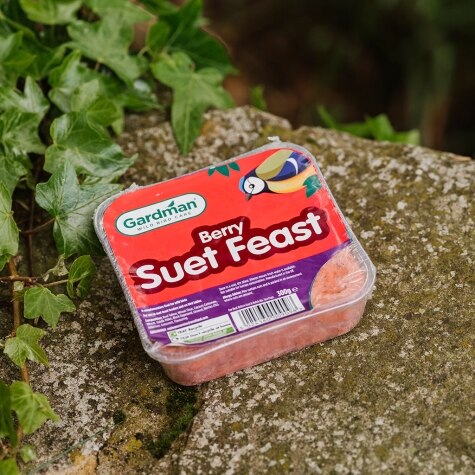 Gardman Berry Suet Feast Block