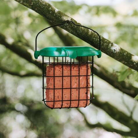 Gardman Berry Suet Feast Block