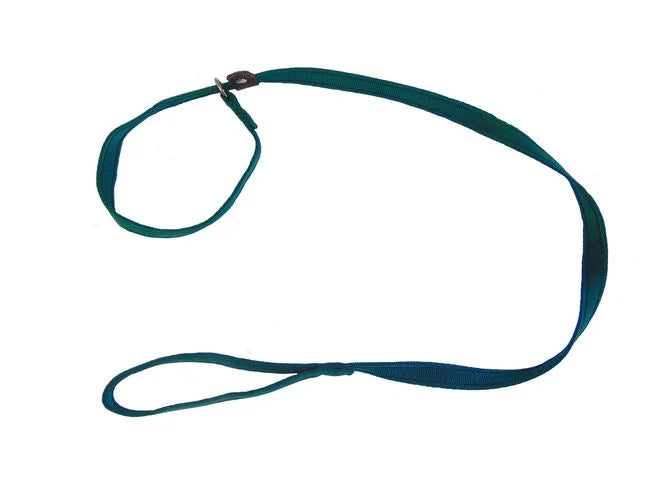 Sporting Saint Cushion Web Slip Lead 1.2m