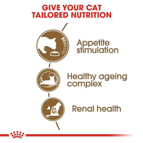 Royal Canin Ageing Cat 12+ Dry Cat Food