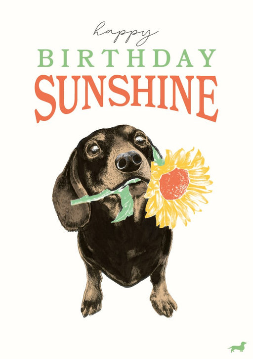The Art File Happy Birthday Sunshine Card
