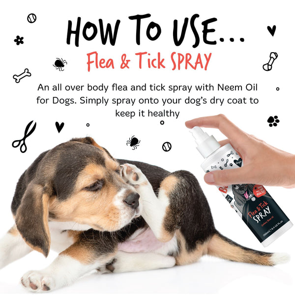Bugalugs Flea & Tick Spray 200ml