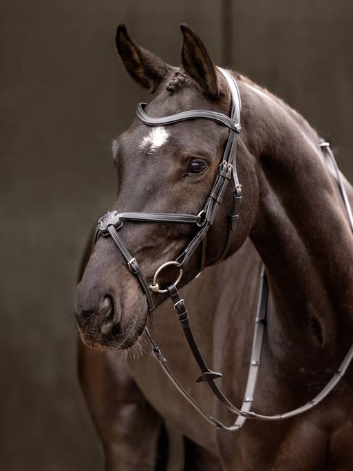 LeMieux Arika Grackle Bridle Black