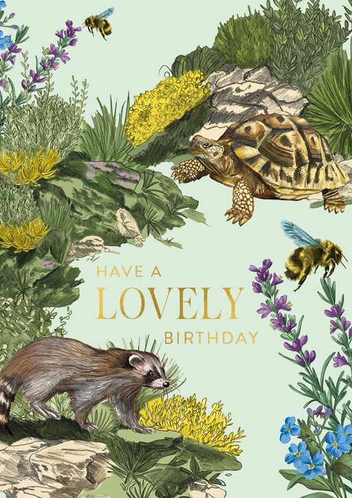 The Art File Have A Lovely Birthday Card
