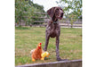 Ancol Cuddle Hettie Hen & Chicks